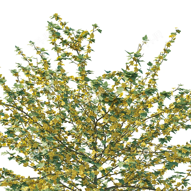 California 3D Model 2017, FBX 3D model image 3