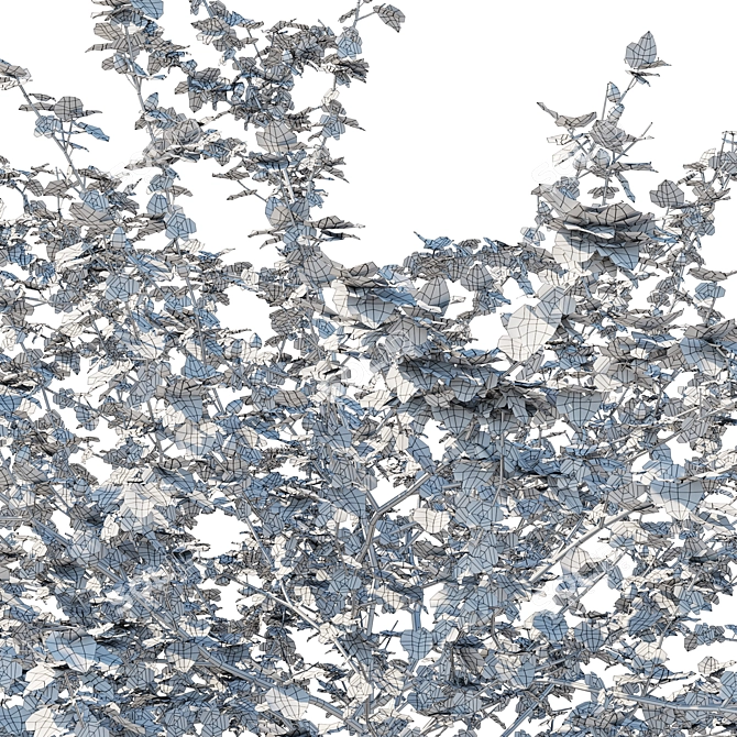 California 3D Model 2017, FBX 3D model image 4