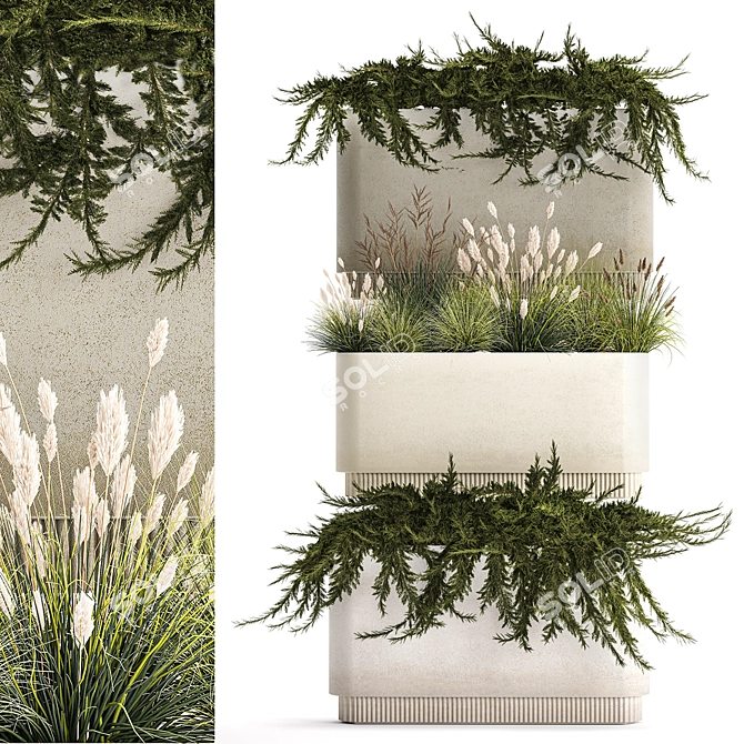 Urban Greenery Collection: Juniper, Feather Grass, Cortaderia 3D model image 1