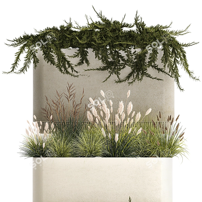 Urban Greenery Collection: Juniper, Feather Grass, Cortaderia 3D model image 2