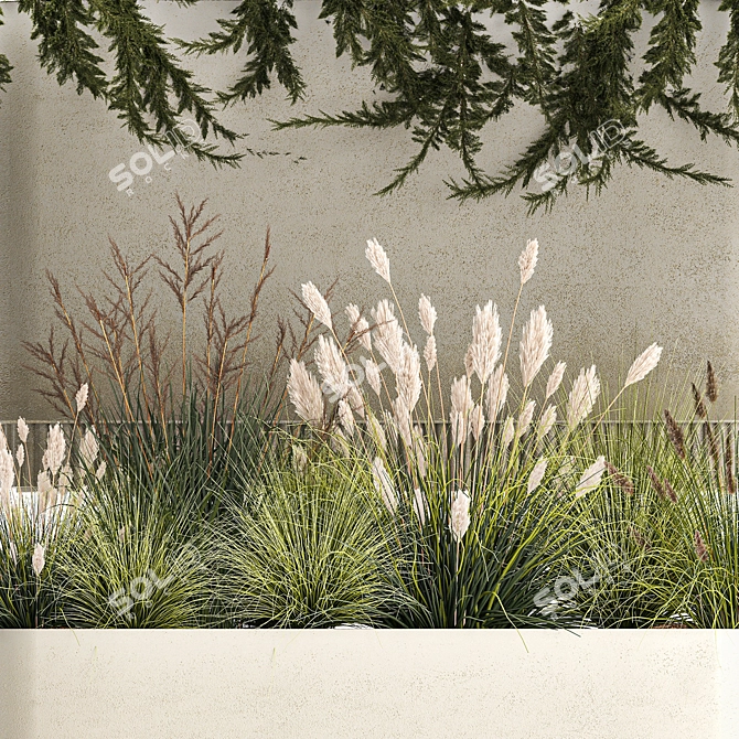 Urban Greenery Collection: Juniper, Feather Grass, Cortaderia 3D model image 3