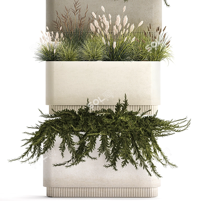 Urban Greenery Collection: Juniper, Feather Grass, Cortaderia 3D model image 4