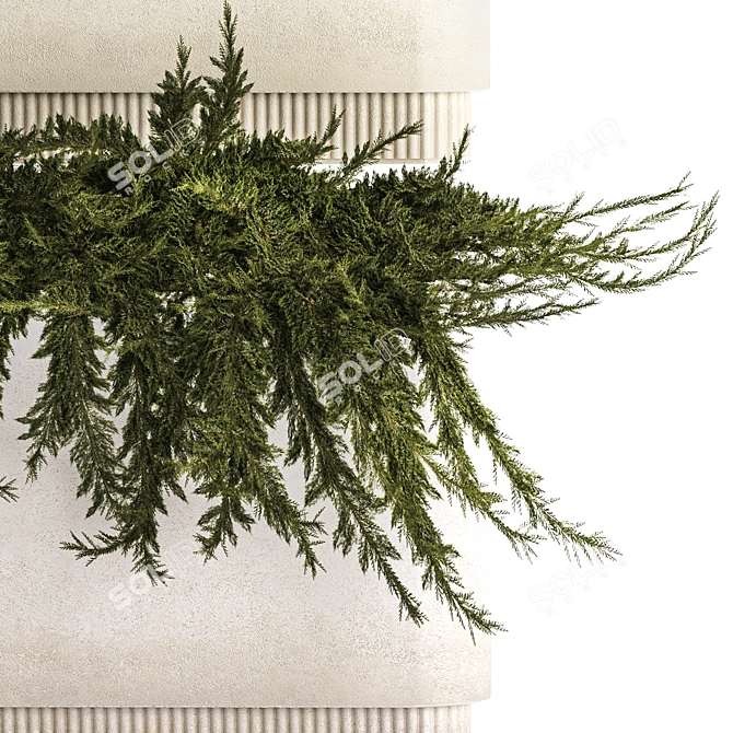 Urban Greenery Collection: Juniper, Feather Grass, Cortaderia 3D model image 5