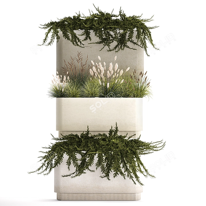 Urban Greenery Collection: Juniper, Feather Grass, Cortaderia 3D model image 6