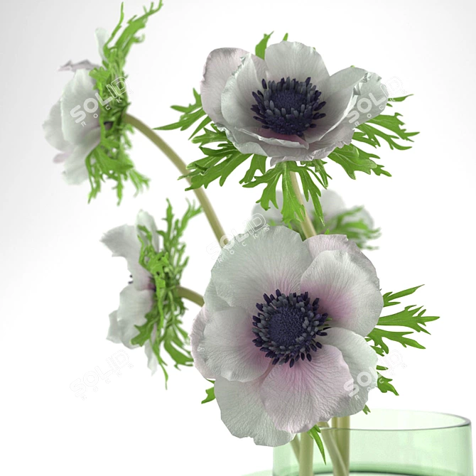 Blueberry Pudding & White Anemones 3D model image 6