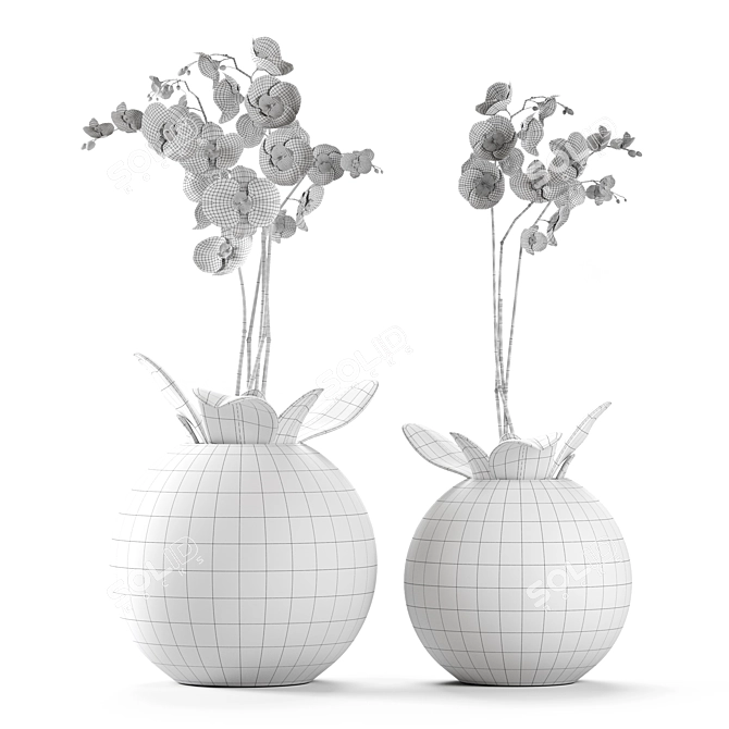 White Orchids in Round Vases 3D model image 2