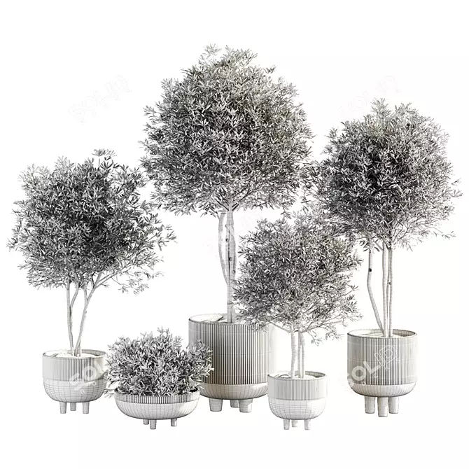 Botanical Collection Set Vray 3DMax 3D model image 2