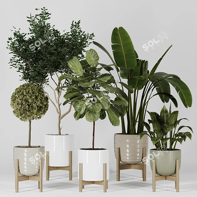 Modern Indoor Plant Collection Vol. 06 3D model image 1