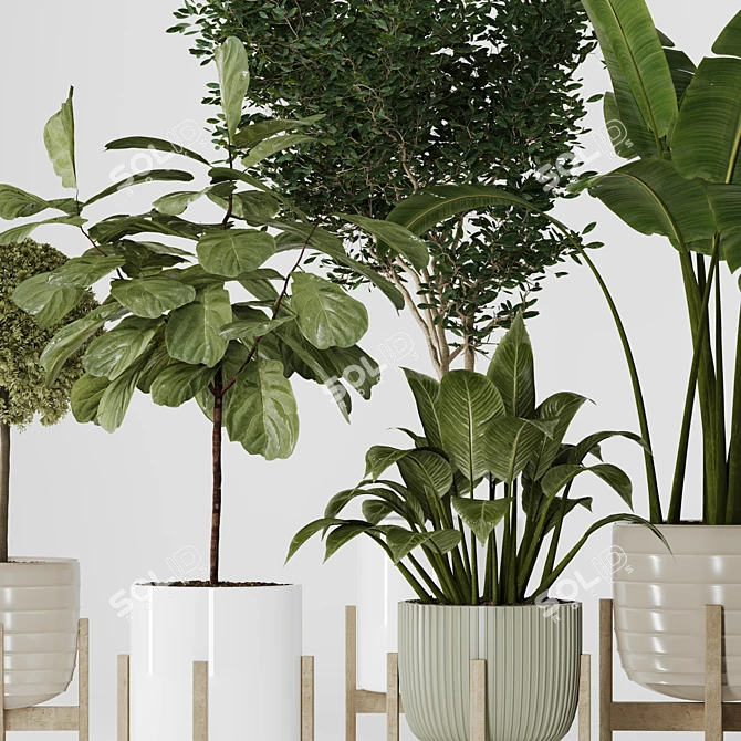 Modern Indoor Plant Collection Vol. 06 3D model image 2