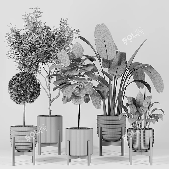 Modern Indoor Plant Collection Vol. 06 3D model image 3