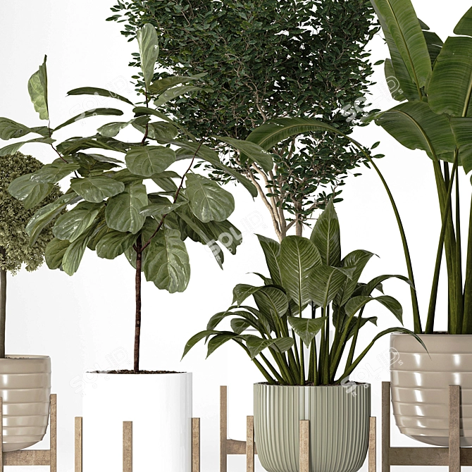 Modern Indoor Plant Collection Vol. 06 3D model image 4