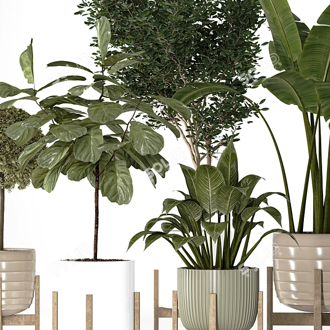 Modern Indoor Plant Collection Vol. 06 3D model image 5