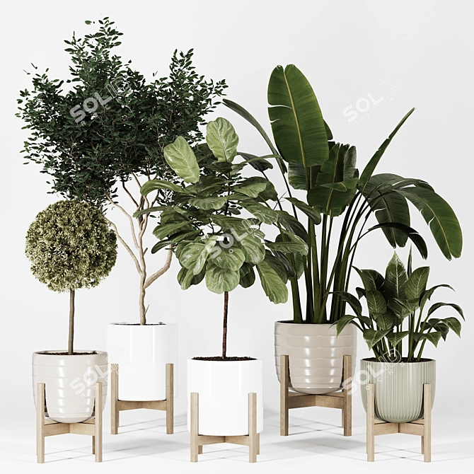 Modern Indoor Plant Collection Vol. 06 3D model image 6