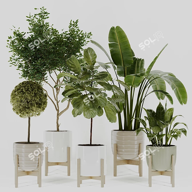 Modern Indoor Plant Collection Vol. 06 3D model image 8