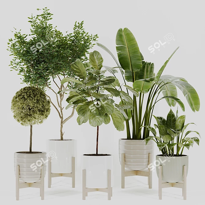 Modern Indoor Plant Collection Vol. 06 3D model image 9