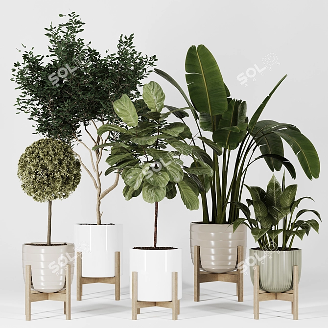 Modern Indoor Plant Collection Vol. 06 3D model image 10