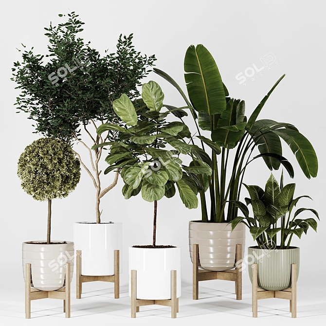 Modern Indoor Plant Collection Vol. 06 3D model image 13