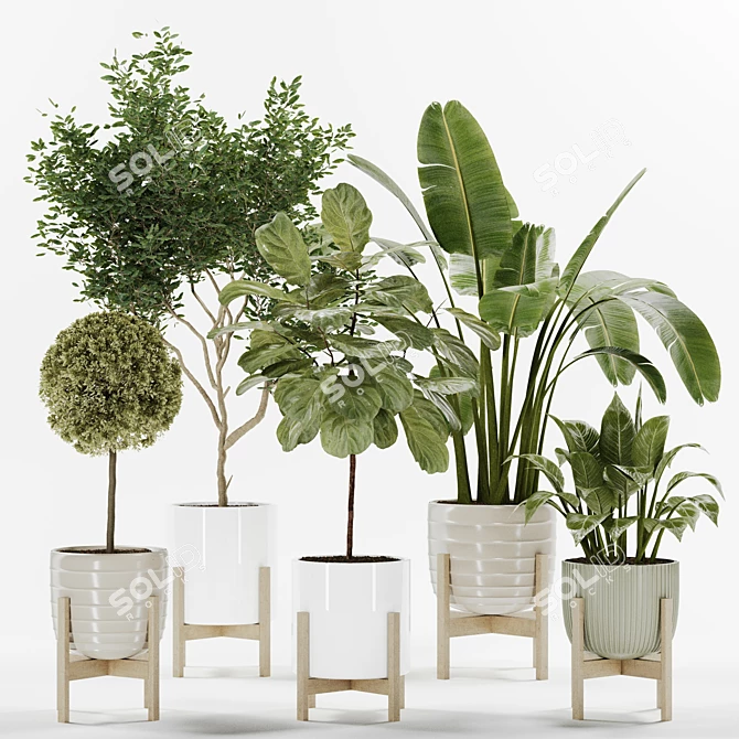 Modern Indoor Plant Collection Vol. 06 3D model image 14