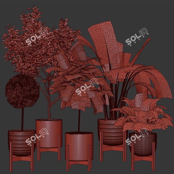 Modern Indoor Plant Collection Vol. 06 3D model image 15