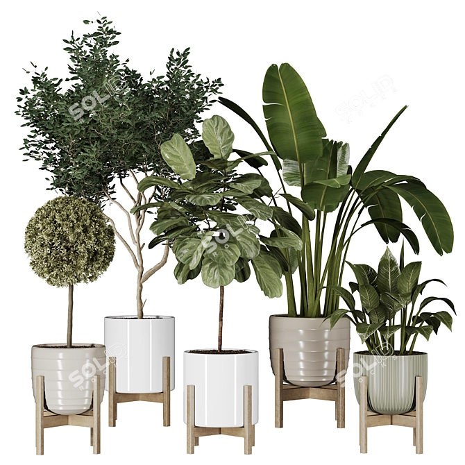 Modern Indoor Plant Collection Vol. 06 3D model image 17