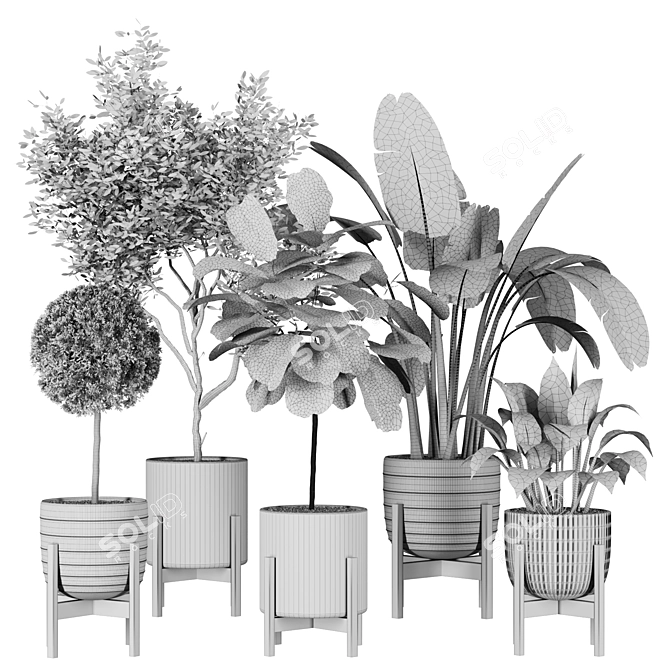 Modern Indoor Plant Collection Vol. 06 3D model image 18