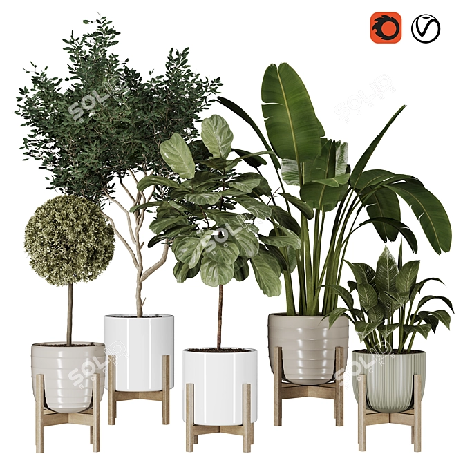 Modern Indoor Plant Collection Vol. 06 3D model image 19