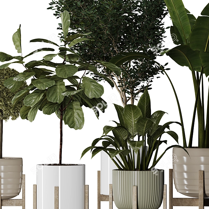 Modern Indoor Plant Collection Vol. 06 3D model image 20