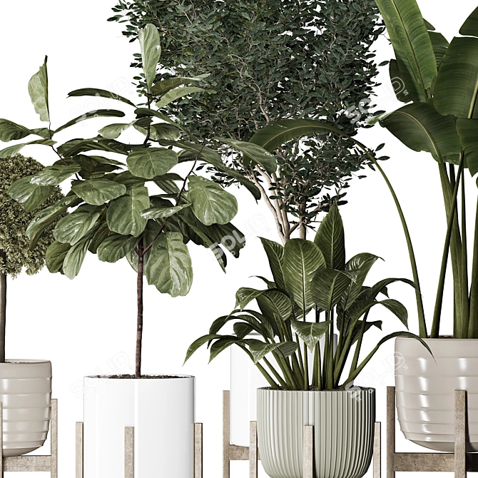 Modern Indoor Plant Collection Vol. 06 3D model image 22