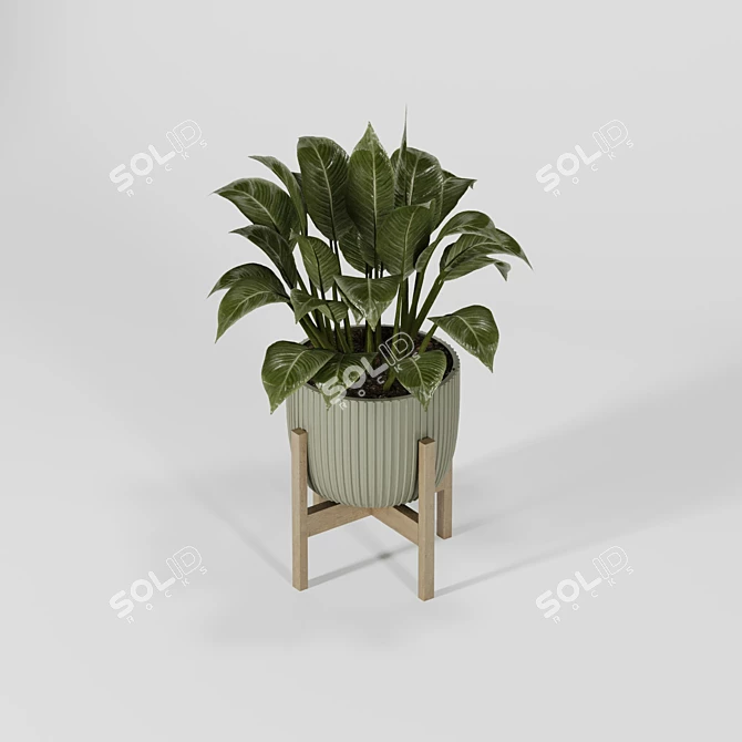 Modern Indoor Plant Collection Vol. 06 3D model image 25