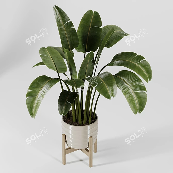 Modern Indoor Plant Collection Vol. 06 3D model image 26