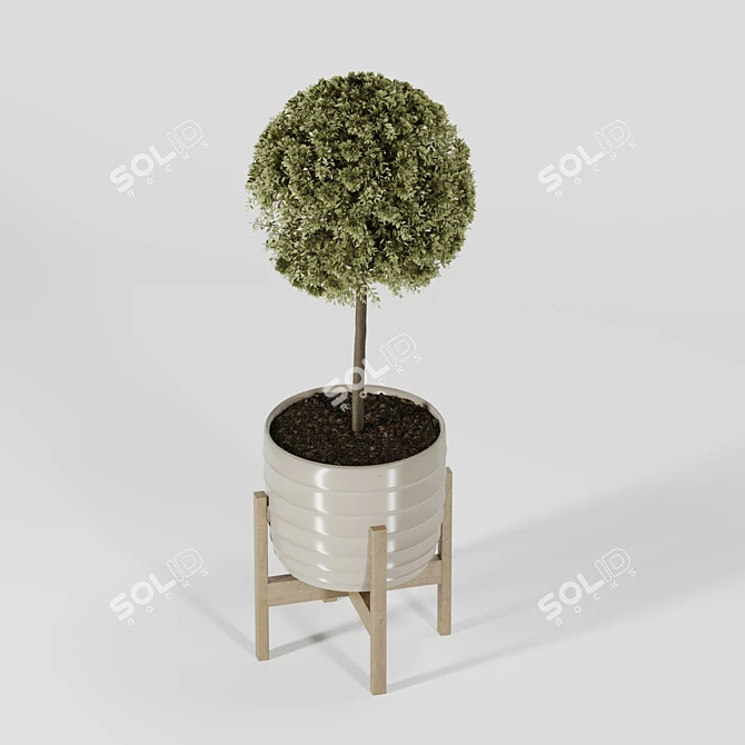 Modern Indoor Plant Collection Vol. 06 3D model image 27