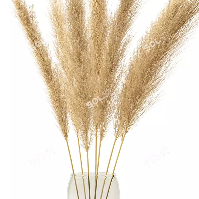 Pampas Bouquet Dried Plant 2013 3D model image 2