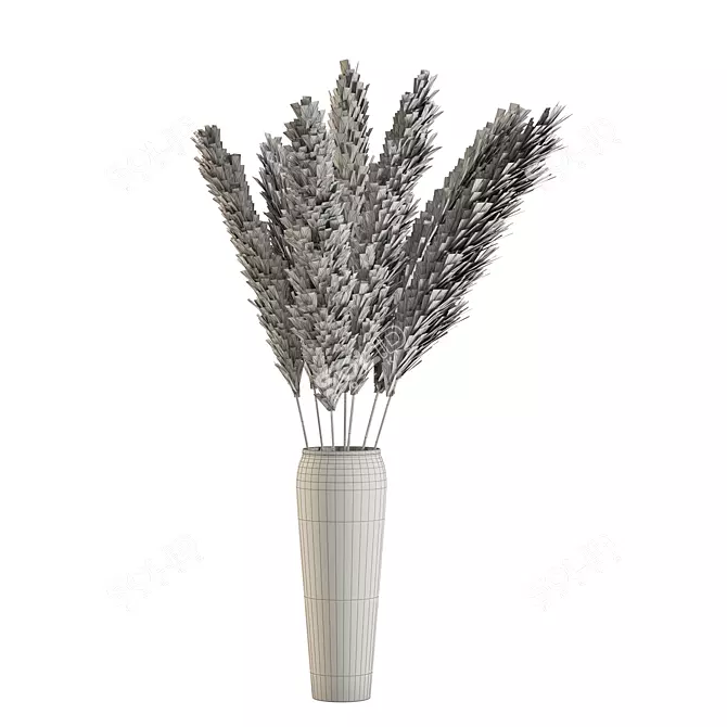 Pampas Bouquet Dried Plant 2013 3D model image 4