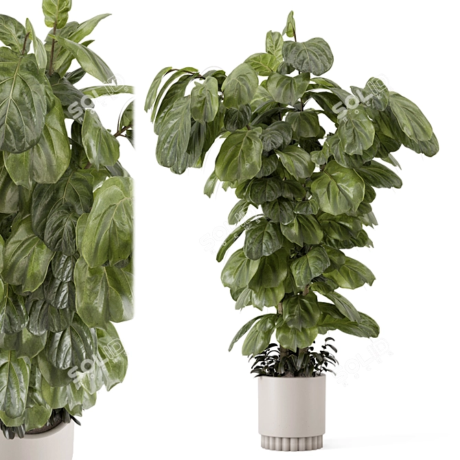 Modern Indoor Plants Set 3D 3D model image 1