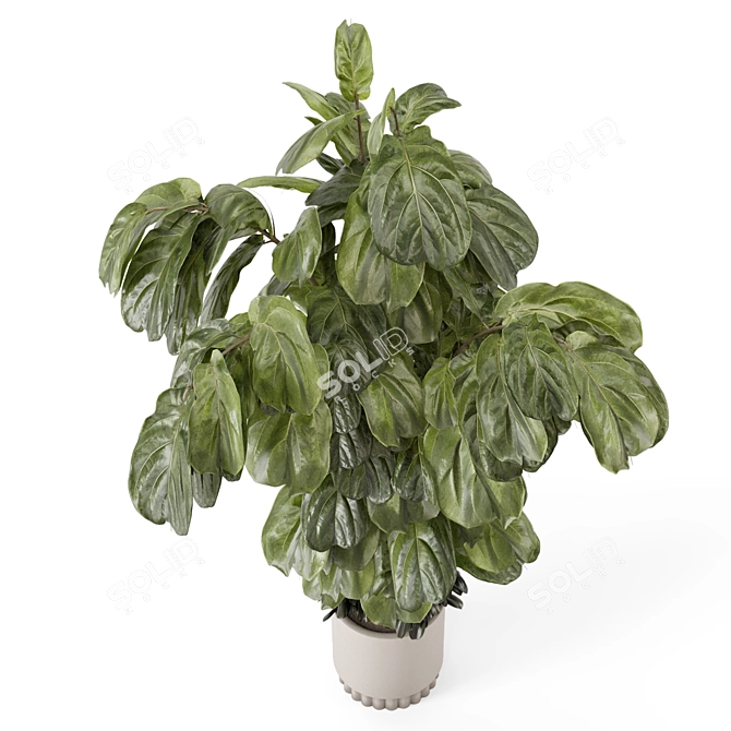 Modern Indoor Plants Set 3D 3D model image 2