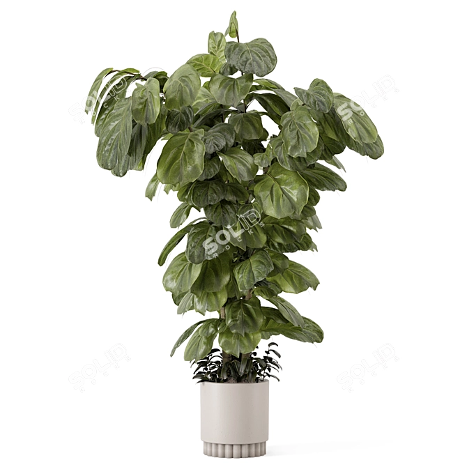 Modern Indoor Plants Set 3D 3D model image 5