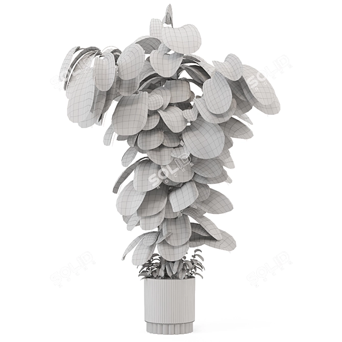 Modern Indoor Plants Set 3D 3D model image 6