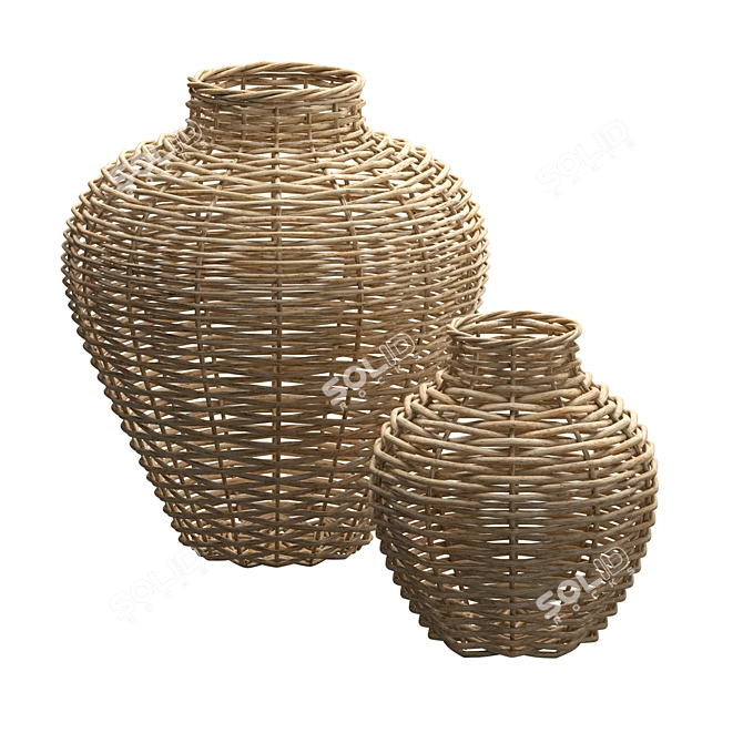 Handcrafted Arurog Wicker Vases 3D model image 1