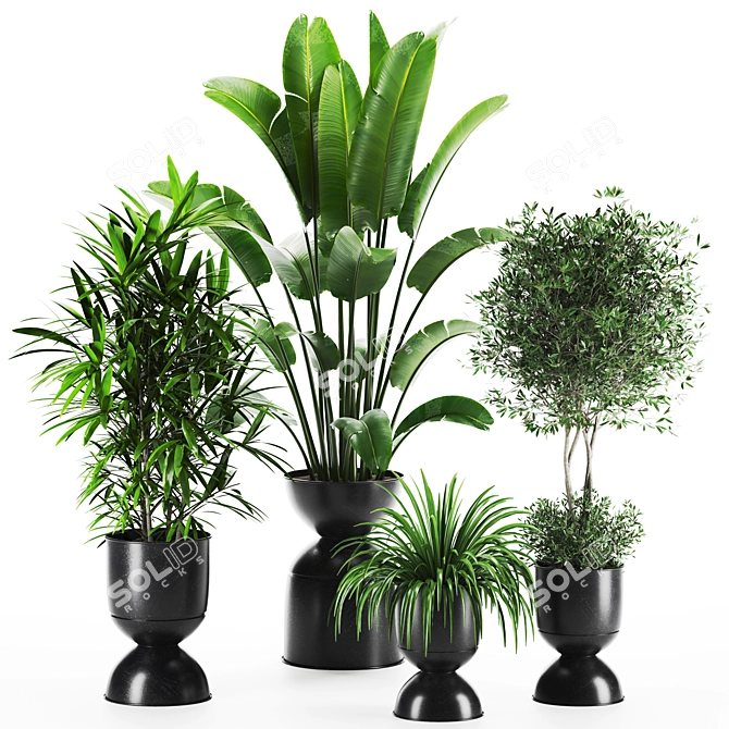 750K Poly Plants Set: Vray Render 3D model image 1