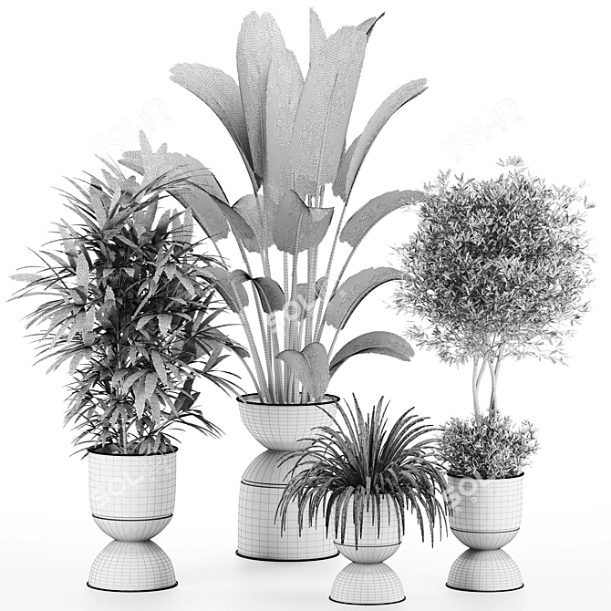 750K Poly Plants Set: Vray Render 3D model image 2