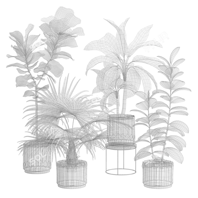 Exotic Indoor Plants Variety Pack 3D model image 3