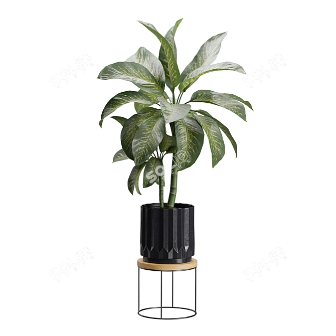 Exotic Indoor Plants Variety Pack 3D model image 6