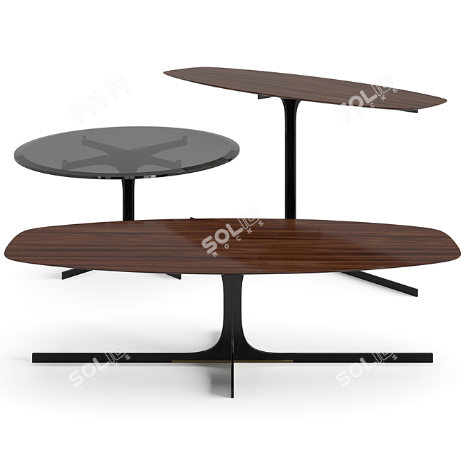 Stylish Janus Tables Set 3D model image 8