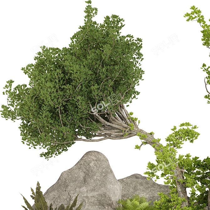 Outdoor Plant Collection Set Renderings 3D model image 10