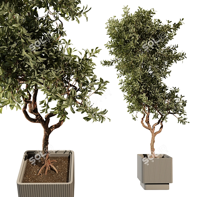 Versatile Outdoor Plant 3D Model 3D model image 1