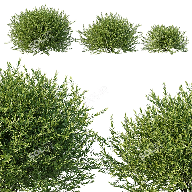 Modern Olive Little Ollie Fixture 3D model image 1