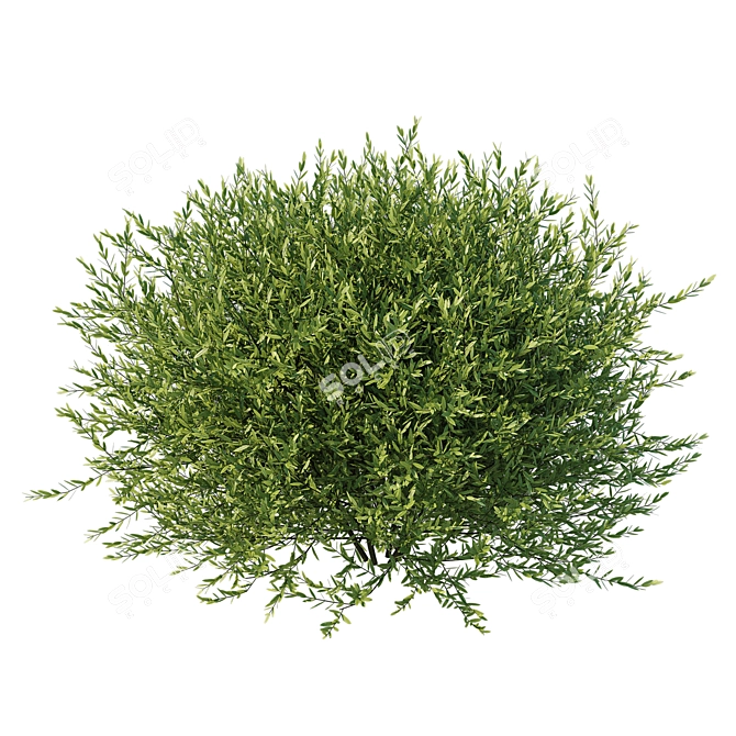 Modern Olive Little Ollie Fixture 3D model image 2