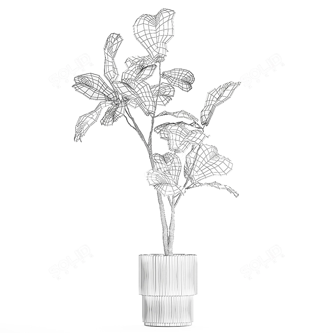 Stylish Ficus Lyrata Indoor Tree 3D model image 6