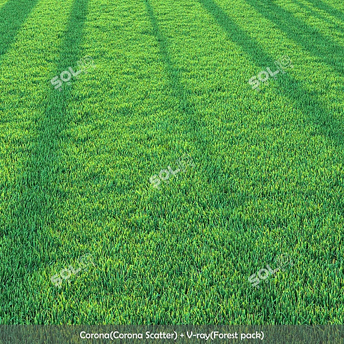 Professional Outdoor Grass Model 3D model image 1