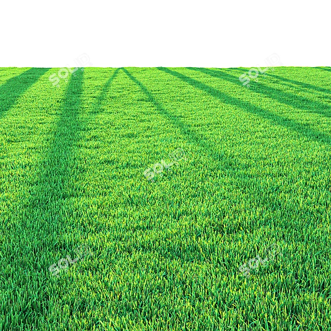 Professional Outdoor Grass Model 3D model image 3